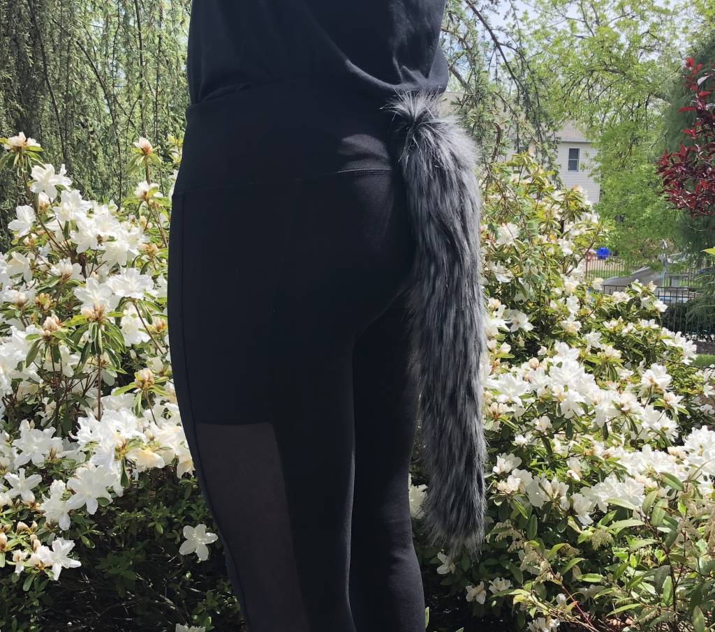 Black Cat & Rear Tail Tights | Wafuku